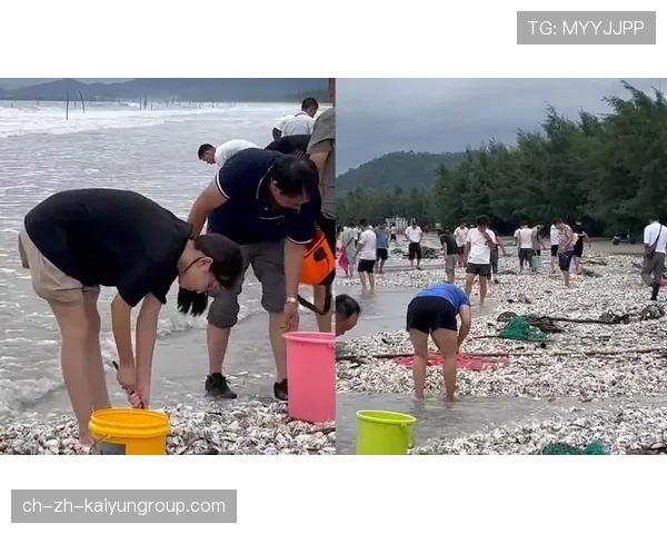 台风过境带来丰盛海鲜，惠州市民忙赶海，惠州台风季节是几月份